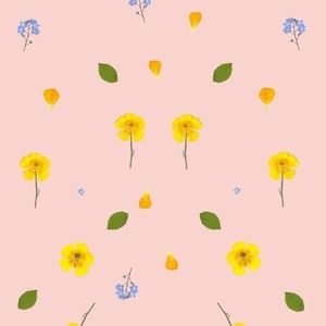 meet your posher, Catherine